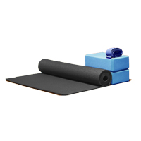 Yoga Home Starter Kit - Mat, 2 Blocks & Strap